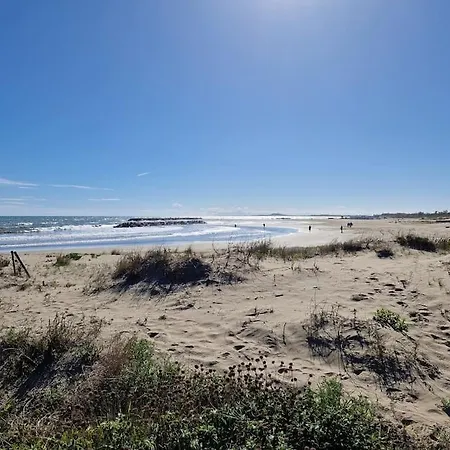 Le Grand Large T2 Climatise A 200 M Plage, Parking